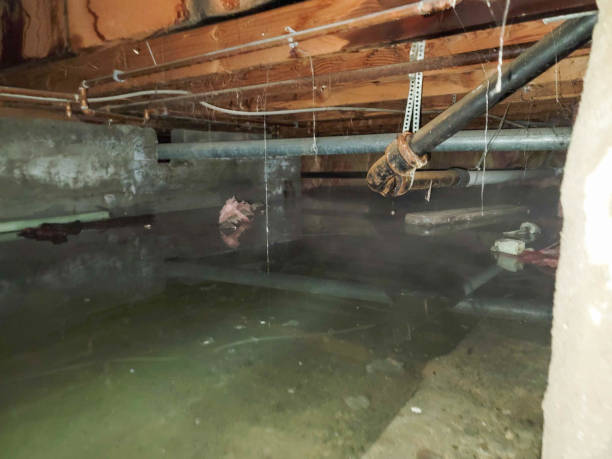 Best Fire Damage Restoration  in Penbrook, PA