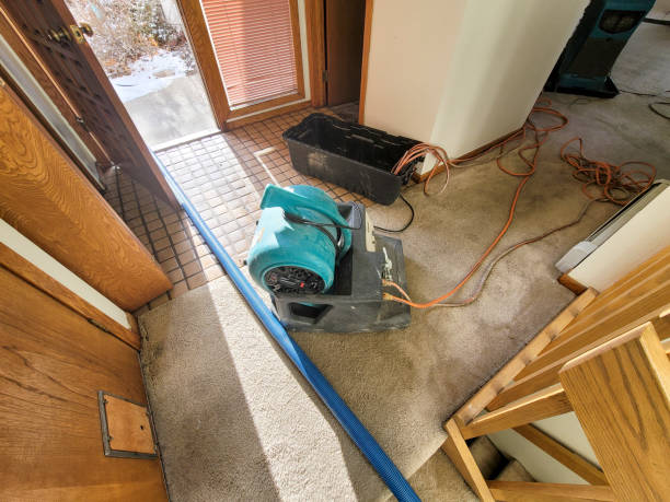 Best Sewage cleanup and water damage restoration  in Penbrook, PA