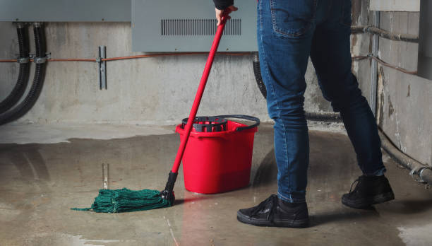 Best Flood damage cleanup  in Penbrook, PA