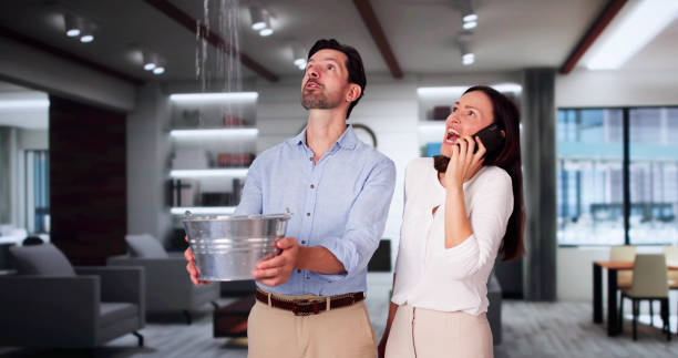 Best Water damage contractors near me  in Penbrook, PA