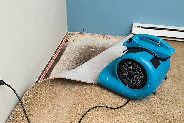 Best 24/7 water damage repair  in Penbrook, PA